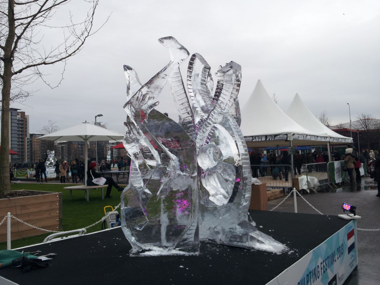 ICE SCULPTING